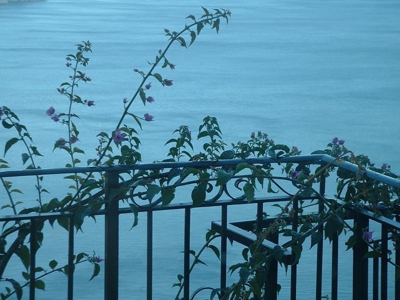 Apartamento Il Giardino Dei Limoni Ravello Exterior foto